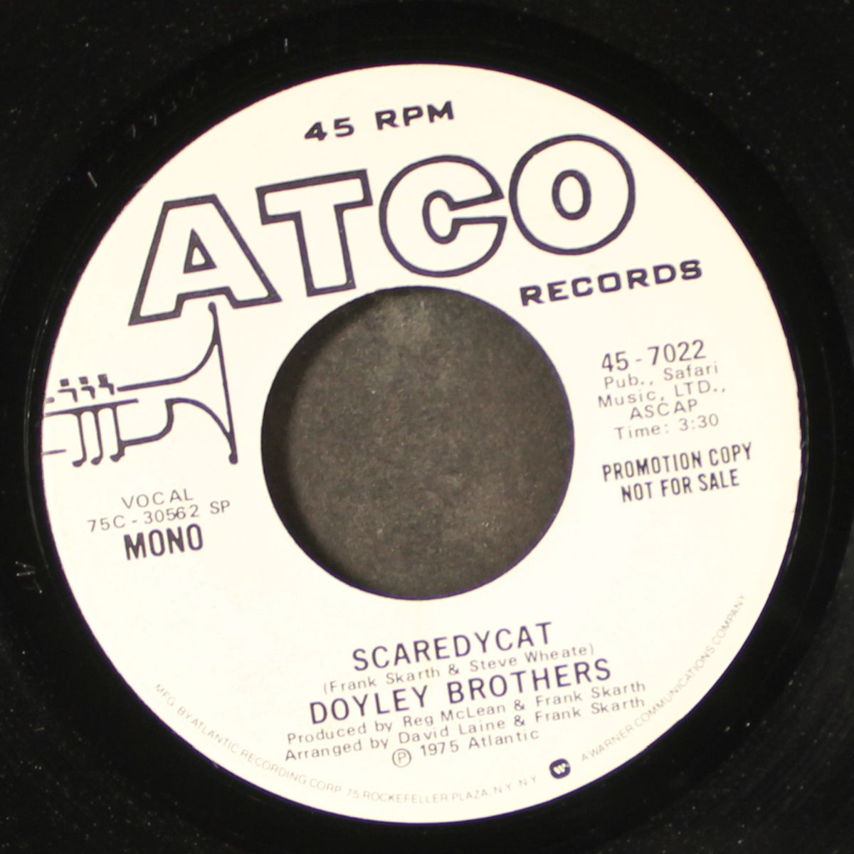 scaredycat / mono by DOYLEY BROTHERS