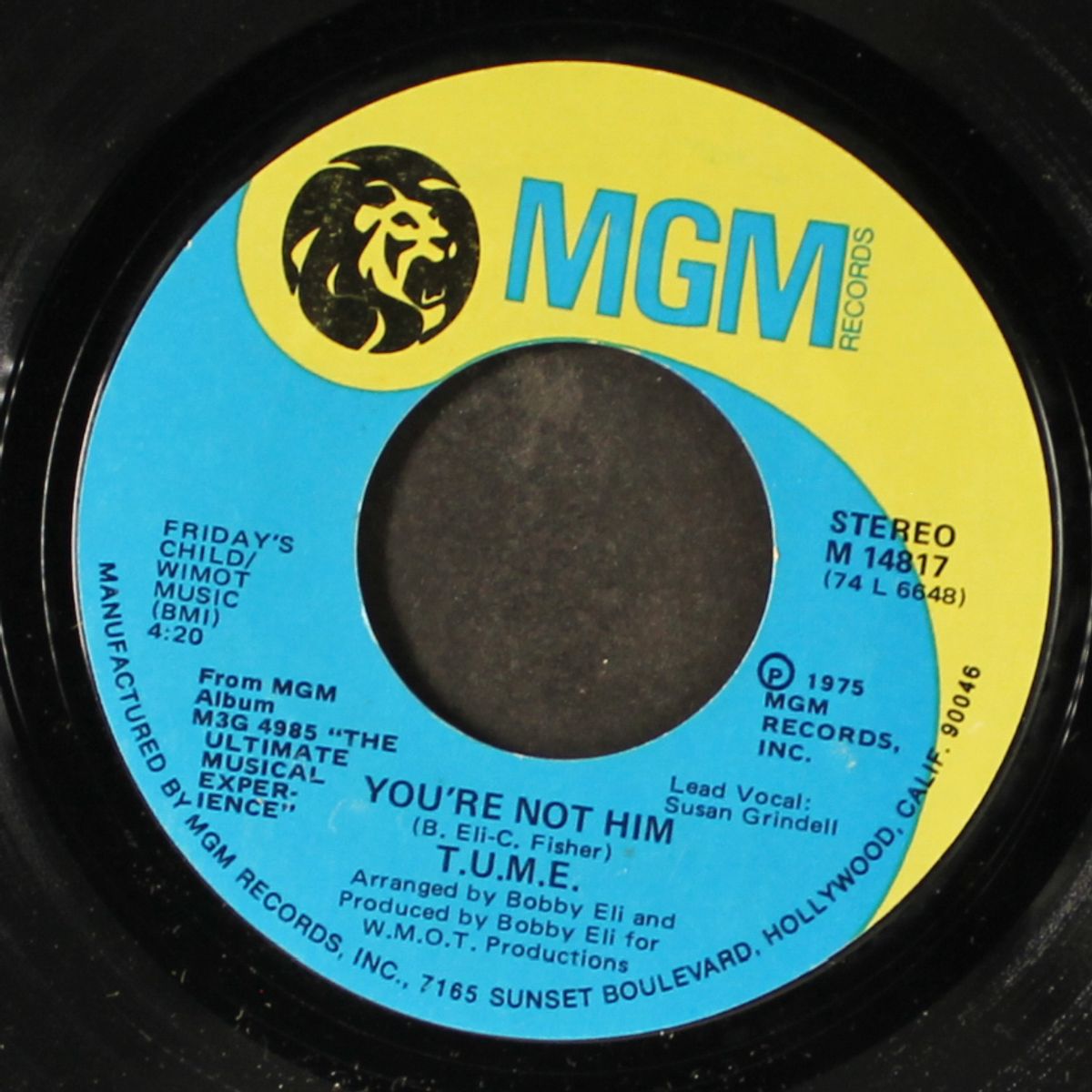 you're not him / telling it like it is by T.U.M.E.