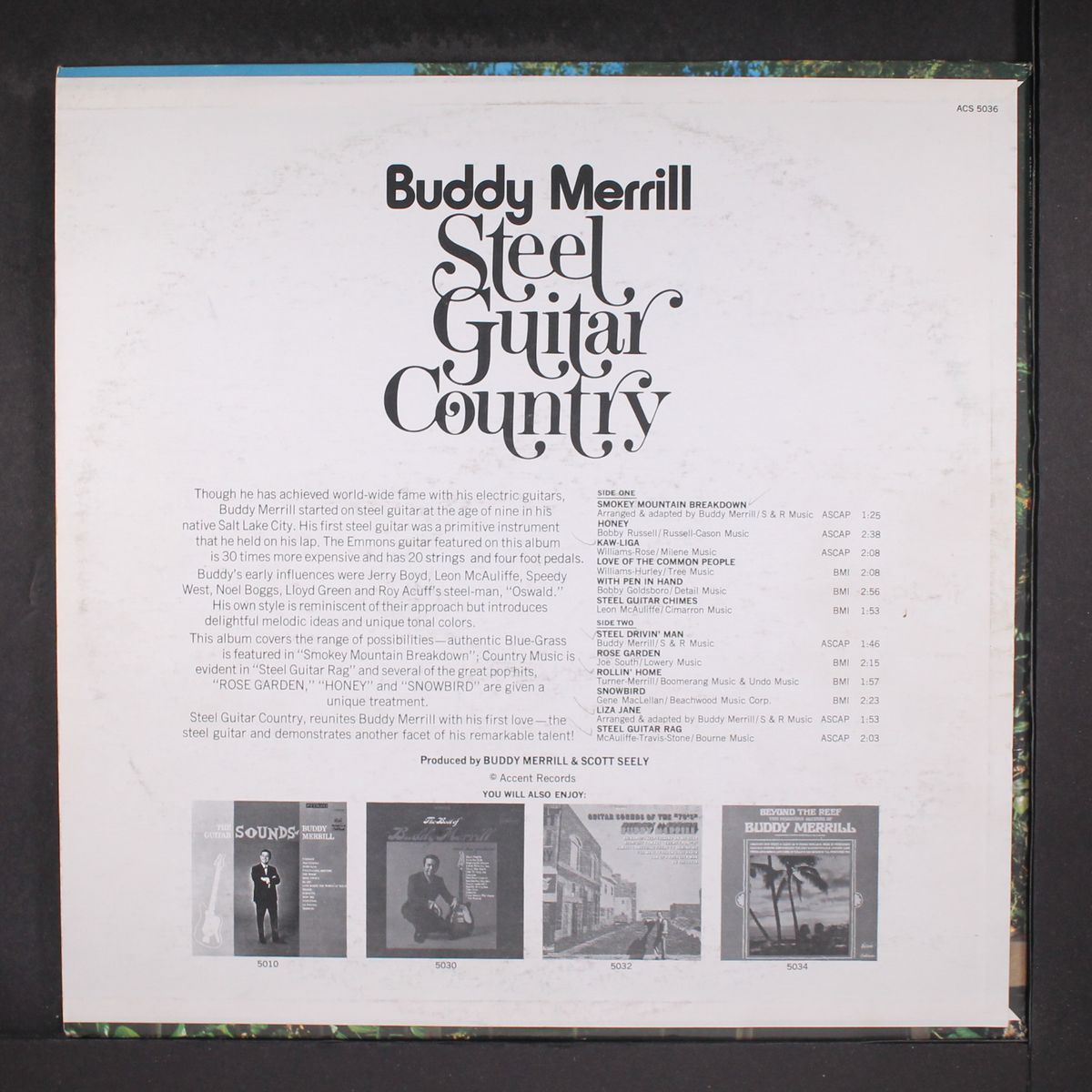 steel guitar country by BUDDY MERRILL