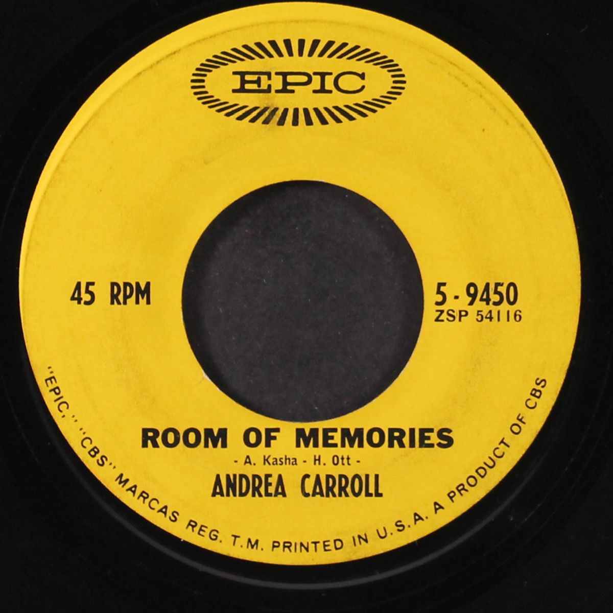 please don't talk to the lifeguard / room of memories by ANDREA CARROLL