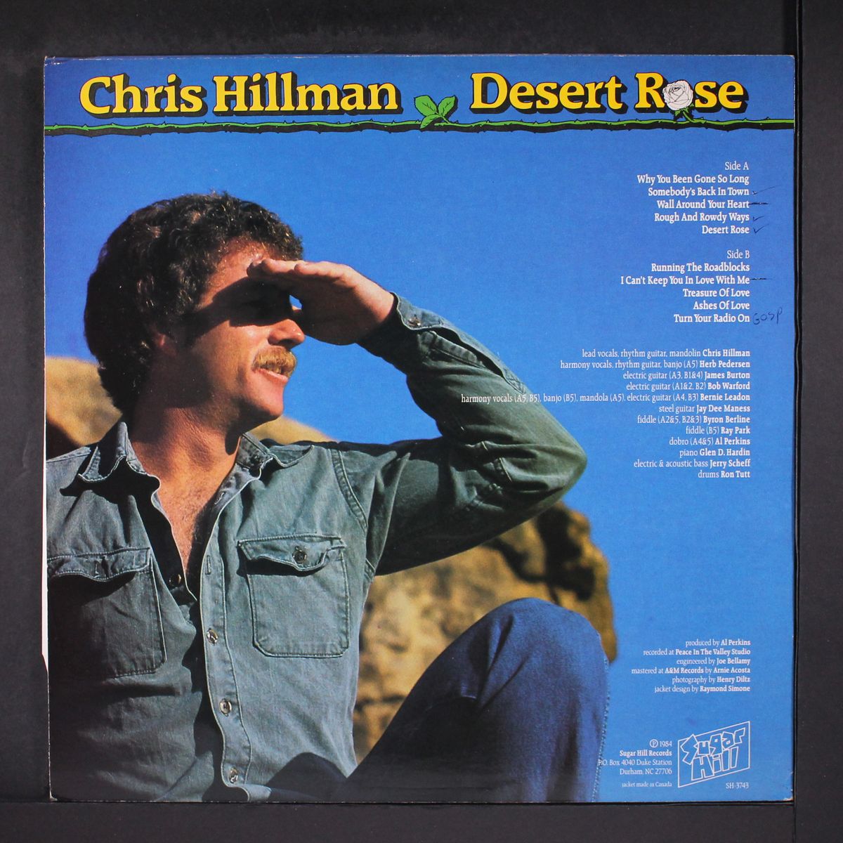 desert rose by CHRIS HILLMAN
