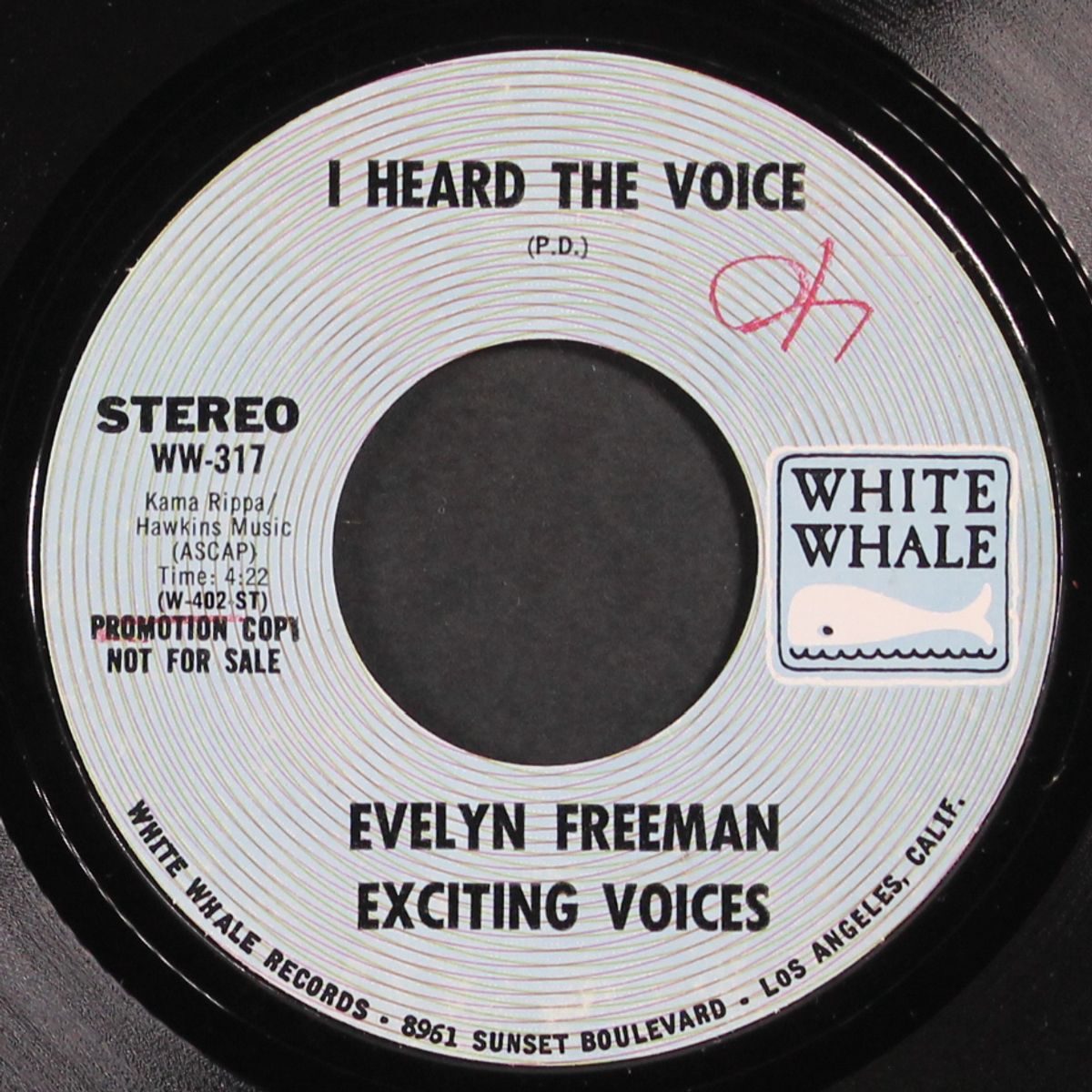 i heard the voice by EVELYN FREEMAN