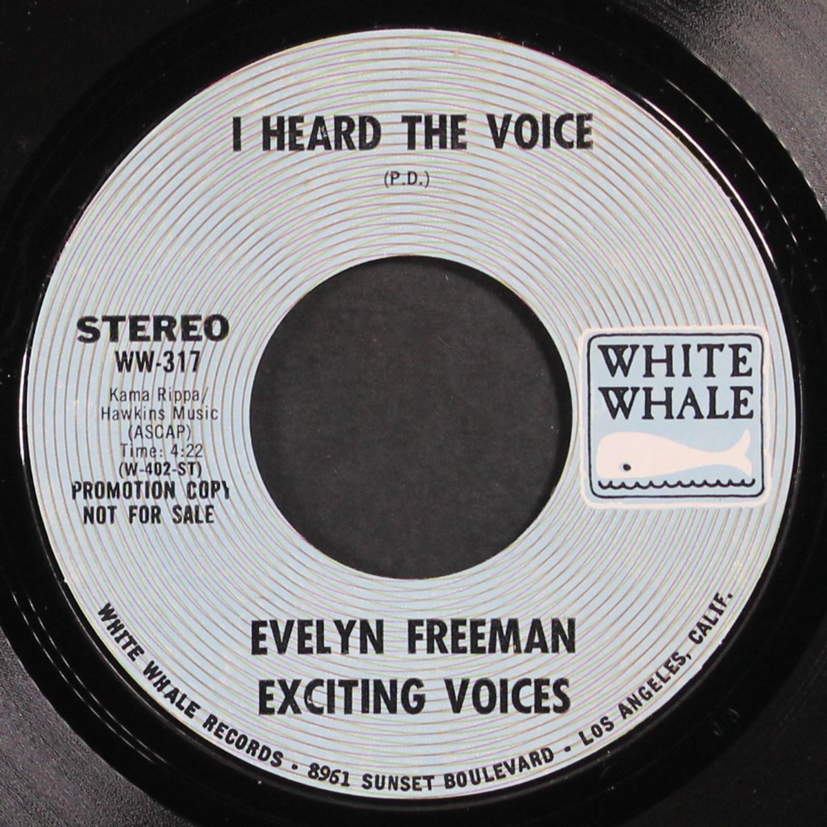 i heard the voice by EVELYN FREEMAN
