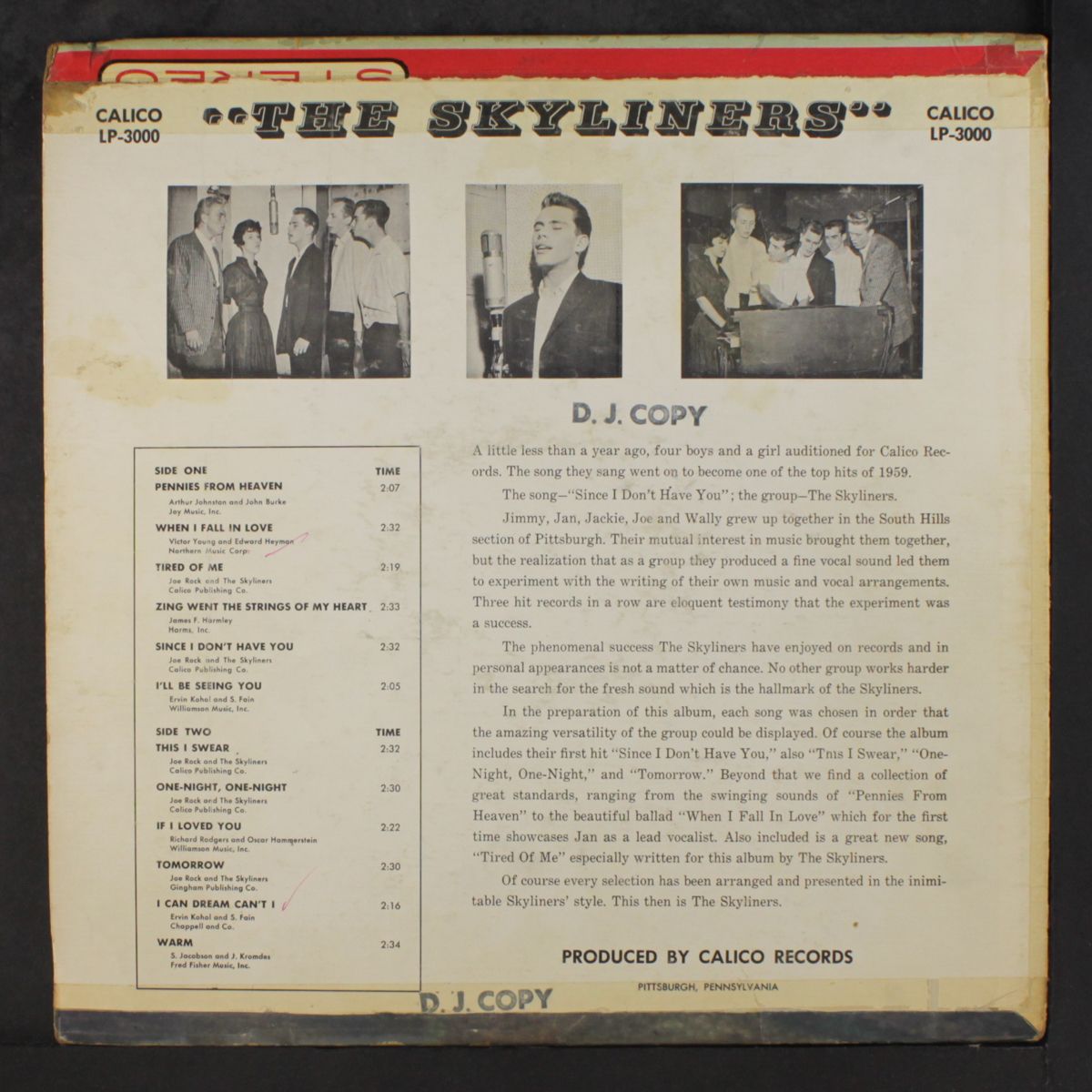 the skyliners by SKYLINERS