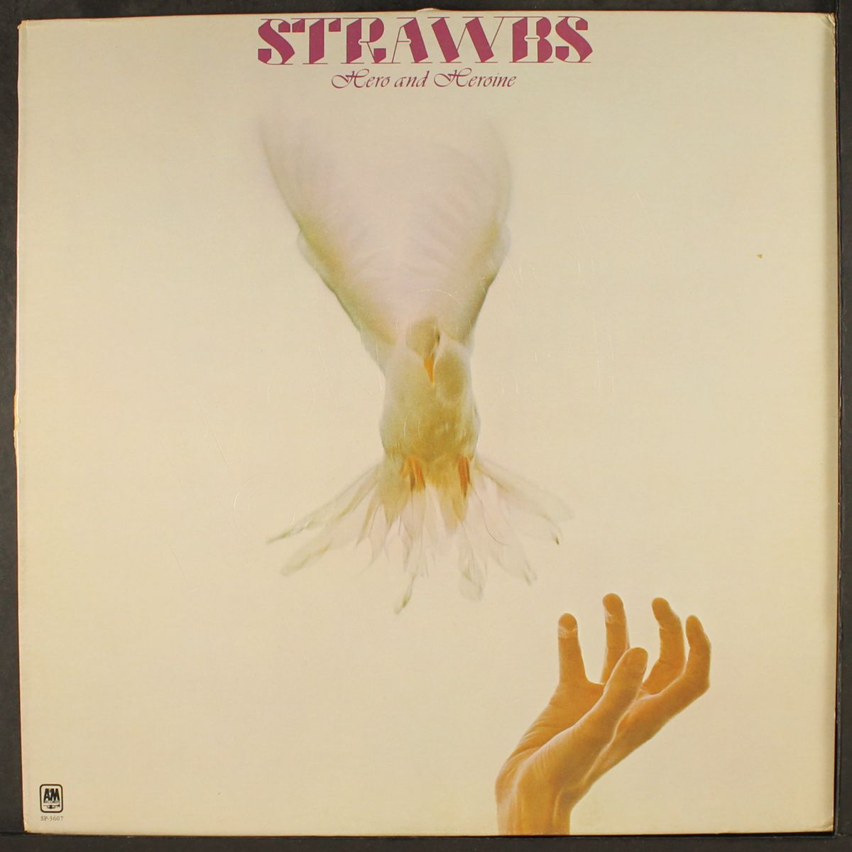 hero and heroine by STRAWBS