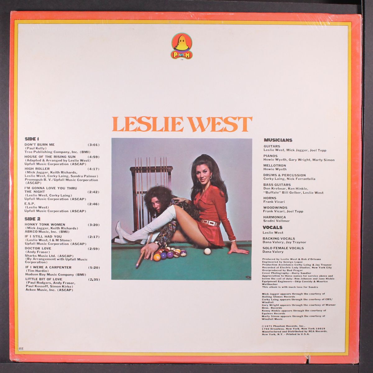 the great fatsby by LESLIE WEST