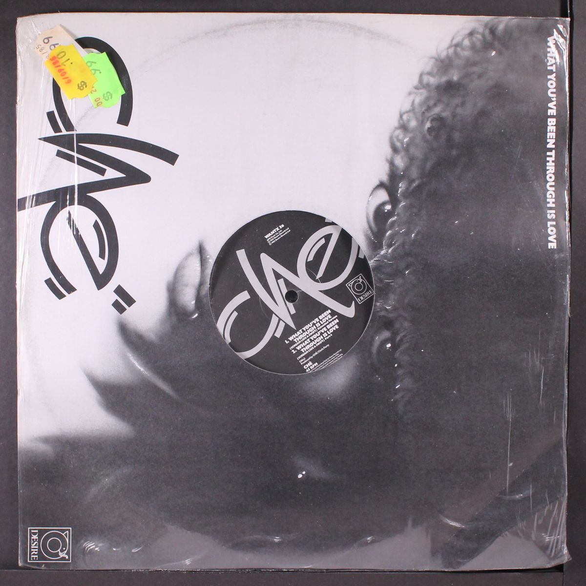 what you've been through is love (3 mixes) by CHE