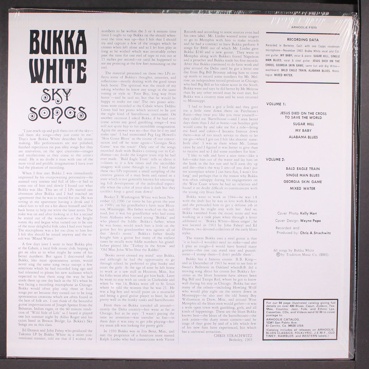 sky songs vol. 1 by BUKKA WHITE
