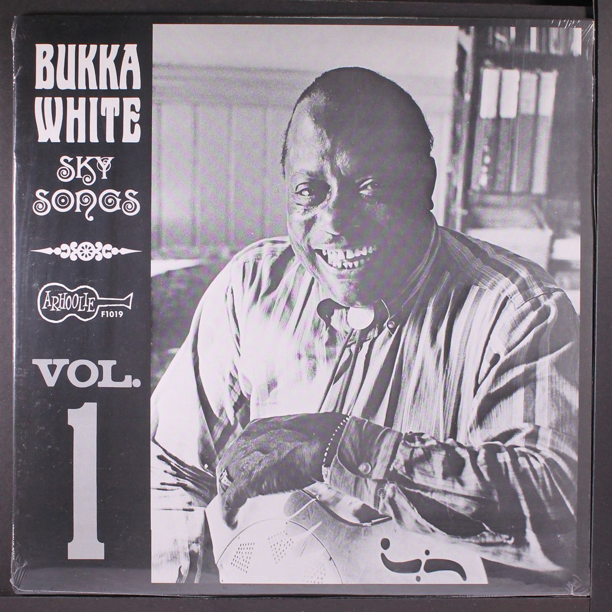 sky songs vol. 1 by BUKKA WHITE