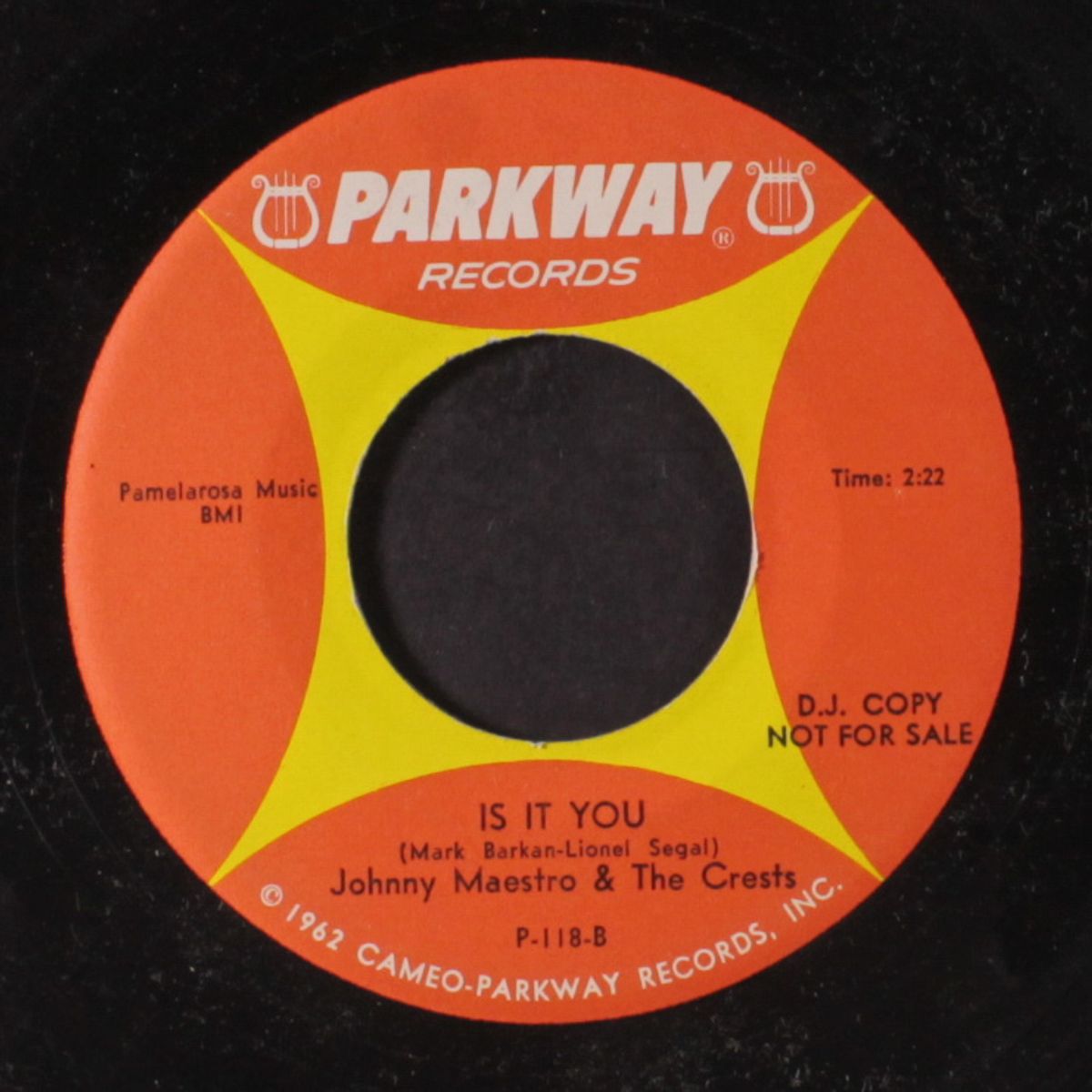 my time / is it you by JOHNNY MAESTRO