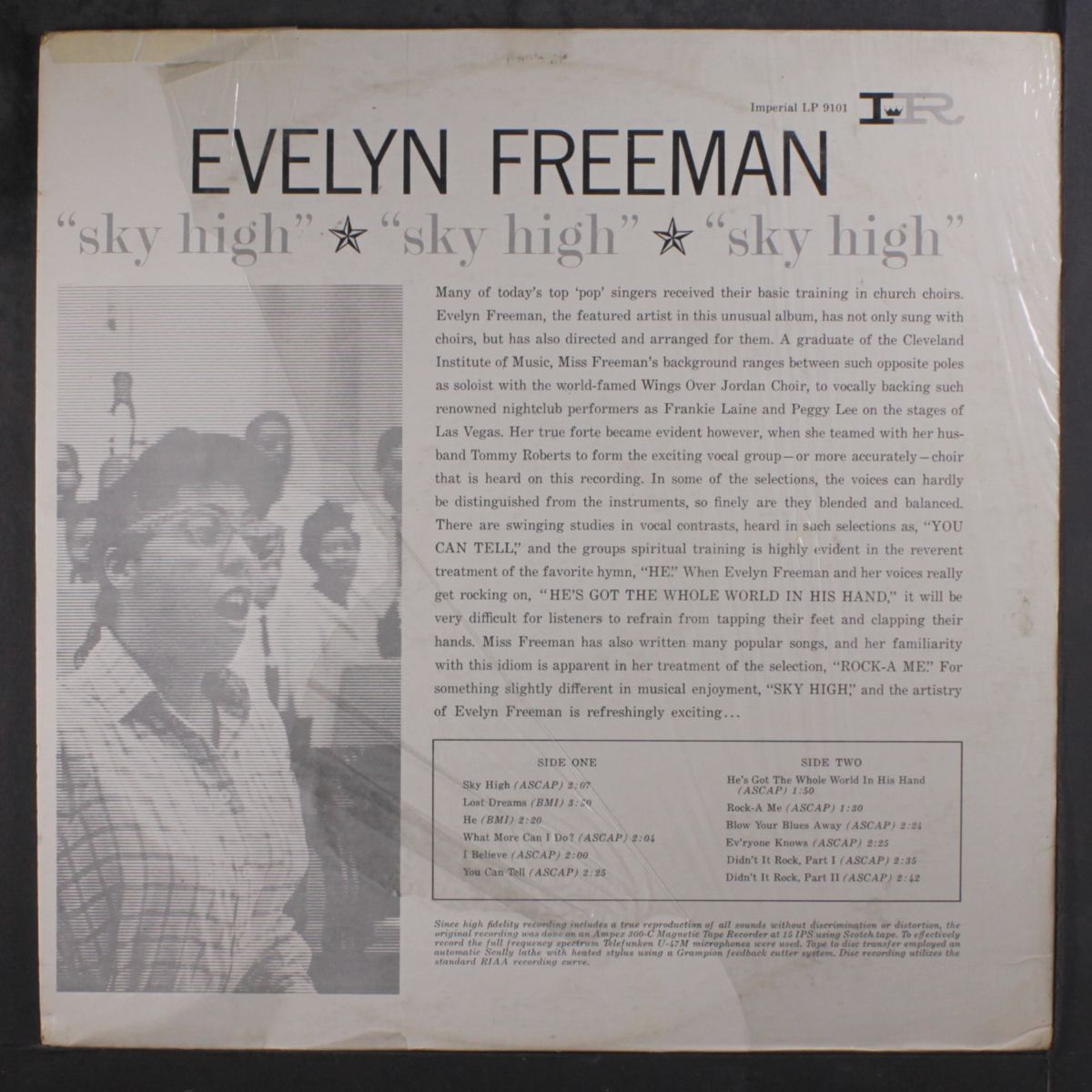 sky high by EVELYN FREEMAN