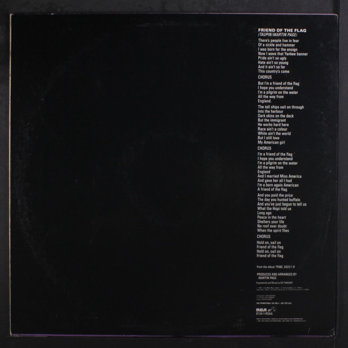 friend of the flag by BERNIE TAUPIN