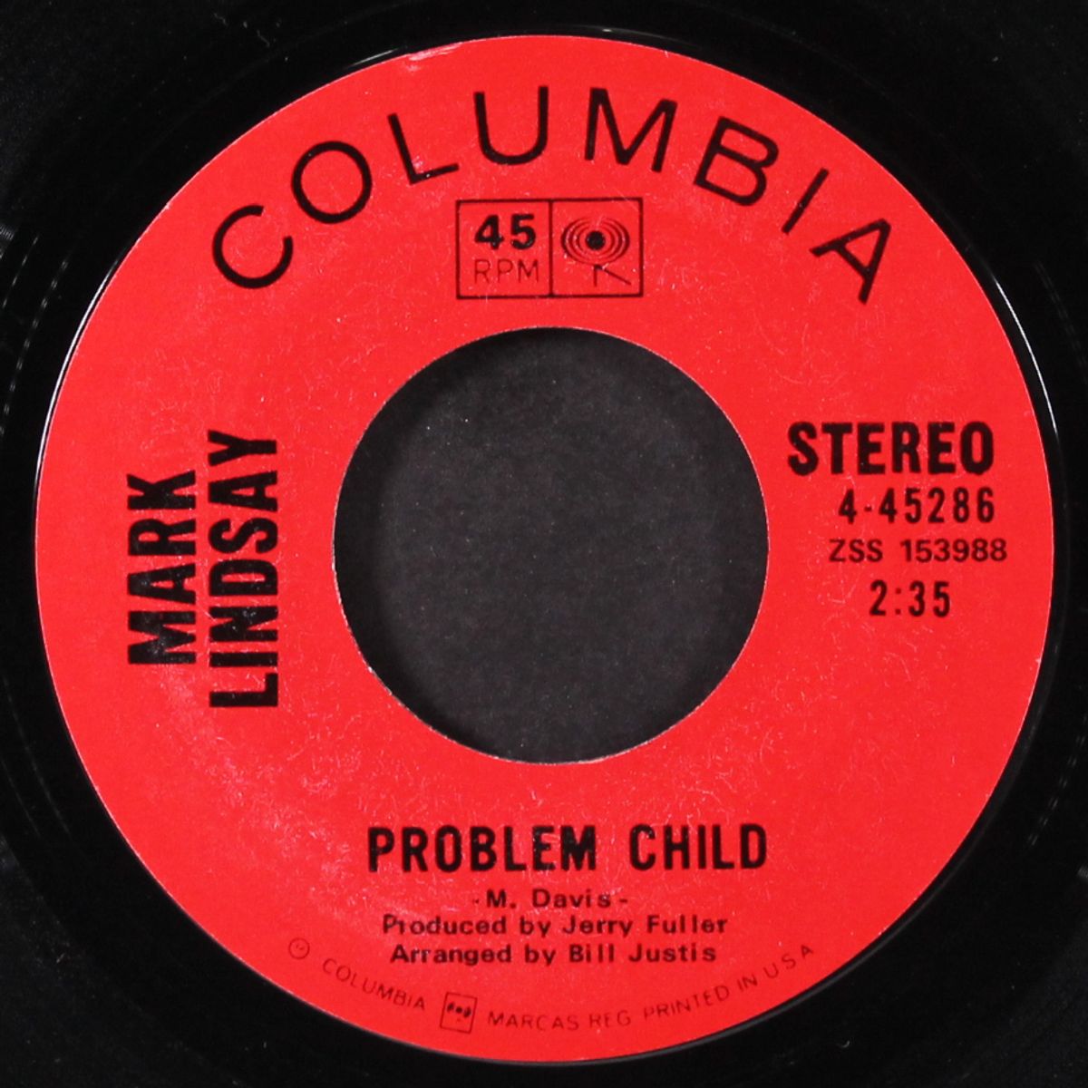 and the grass won't pay no mind by MARK LINDSAY