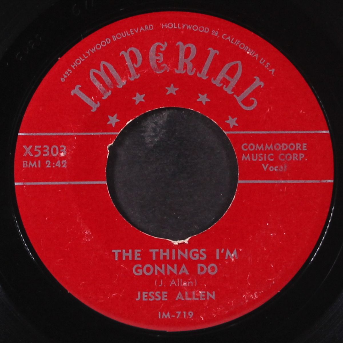 what a party / the things i'm gonna do by JESSE ALLEN