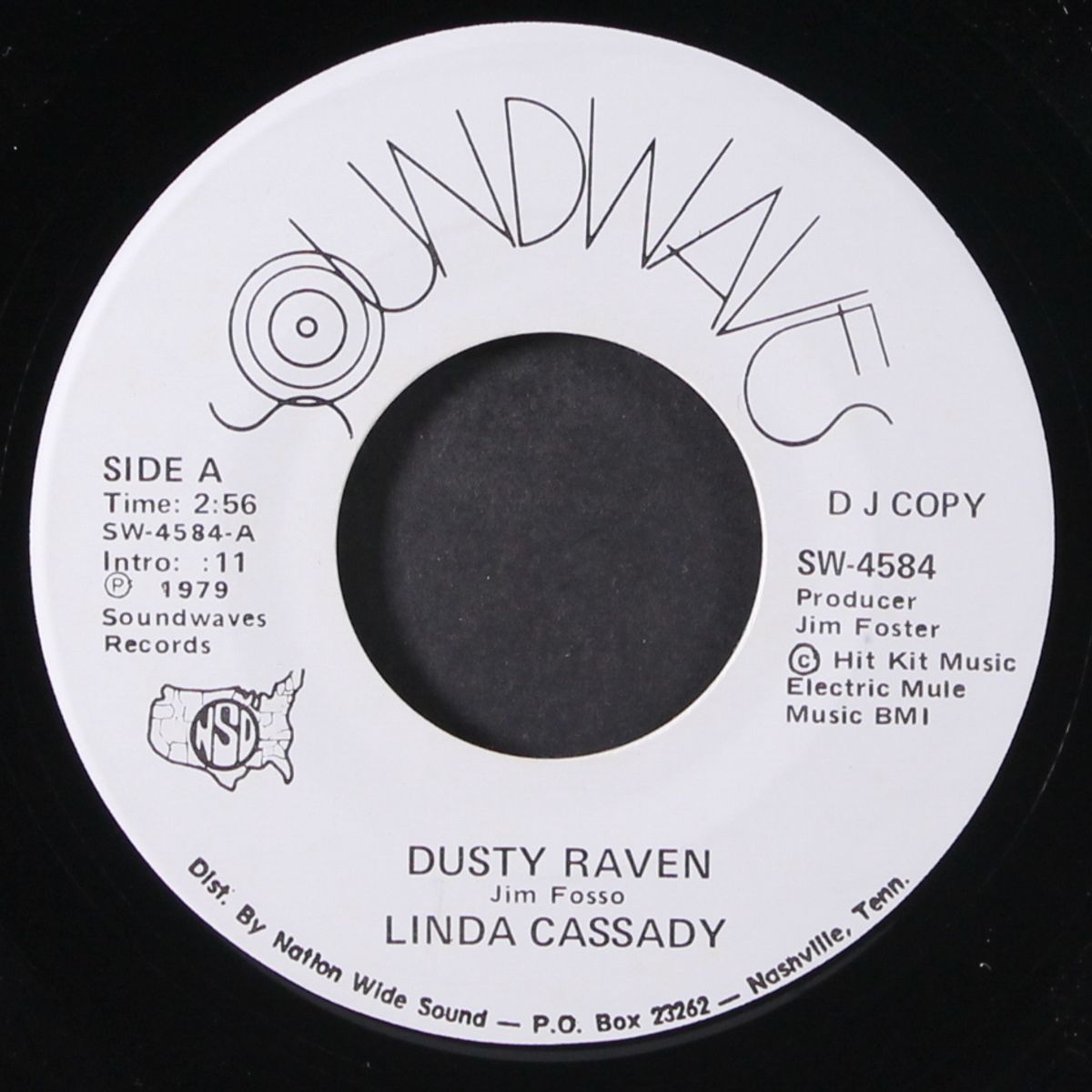 dusty raven / same by LINDA CASSADY