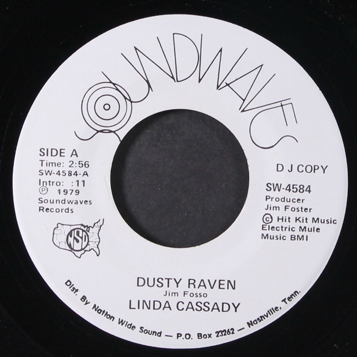 dusty raven / same by LINDA CASSADY