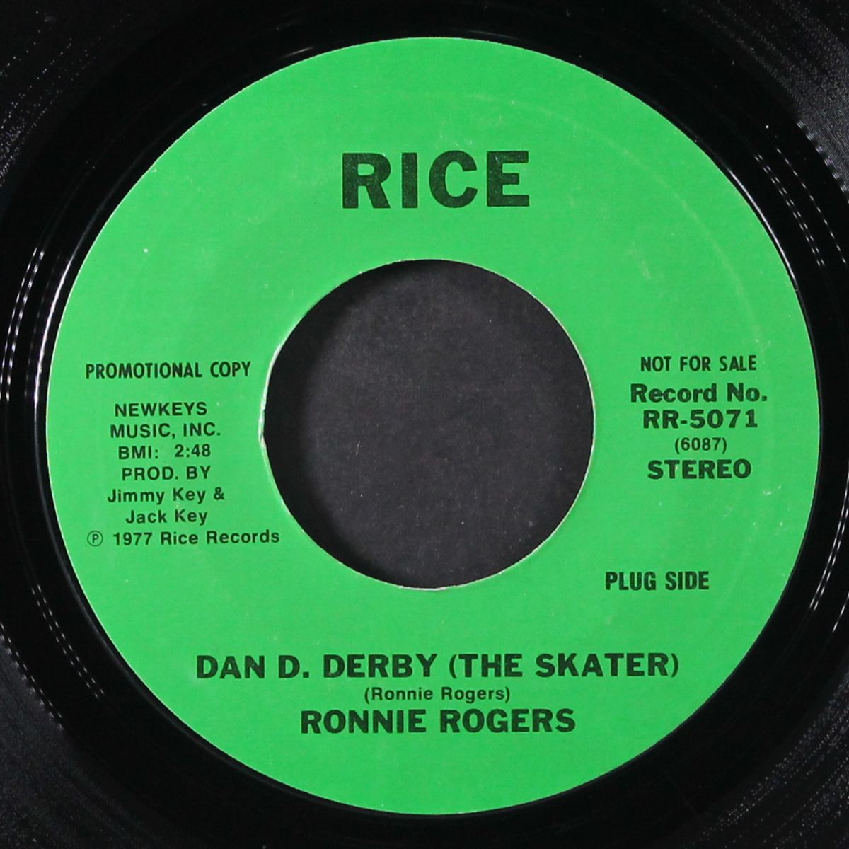 dan d. derby the skater / fool on the stool by RONNIE ROGERS