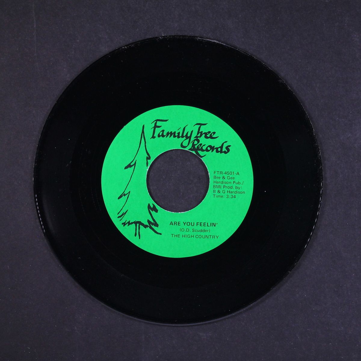 are you feelin' / homely woman by HIGH COUNTRY