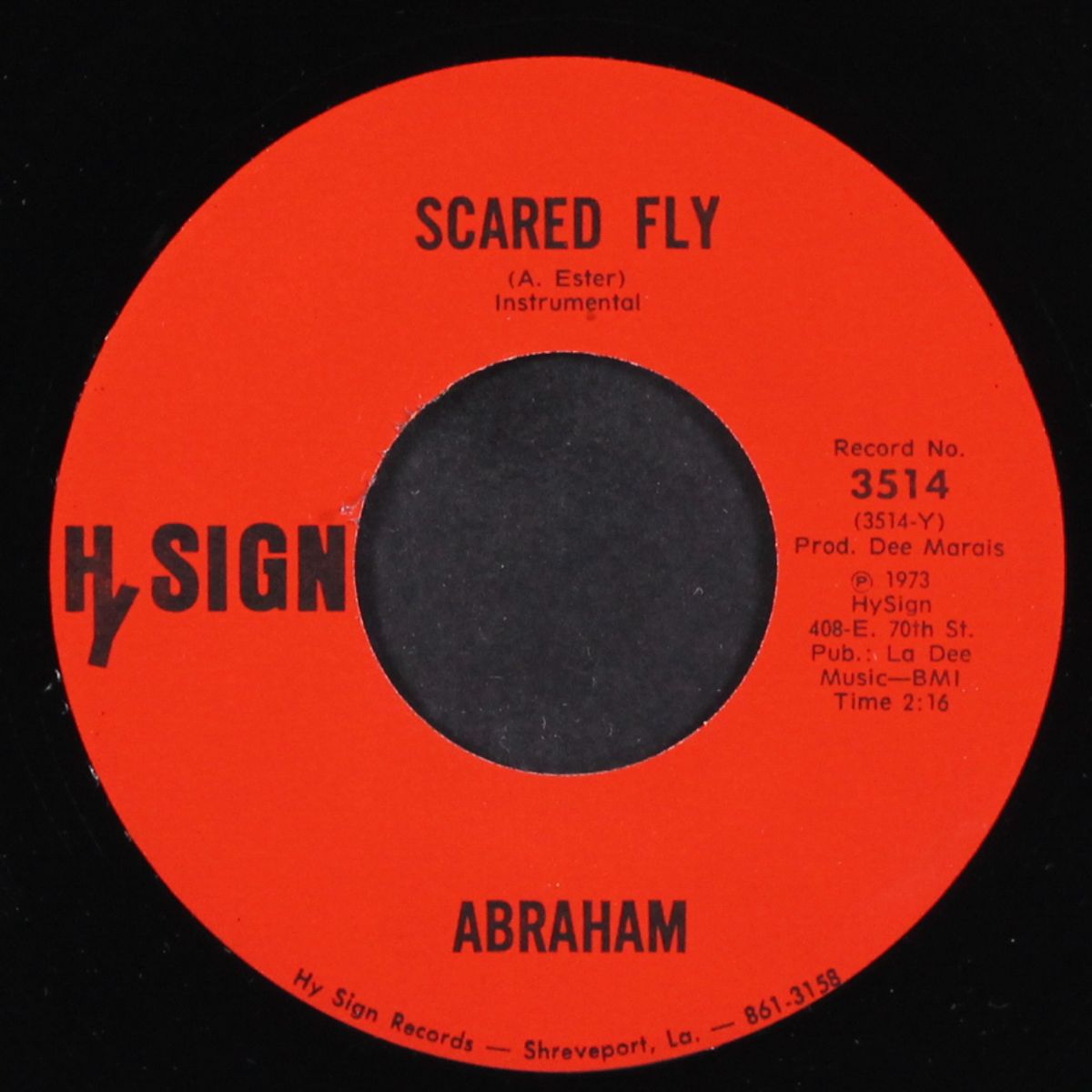 funky spider and / sacred fly by ABRAHAM
