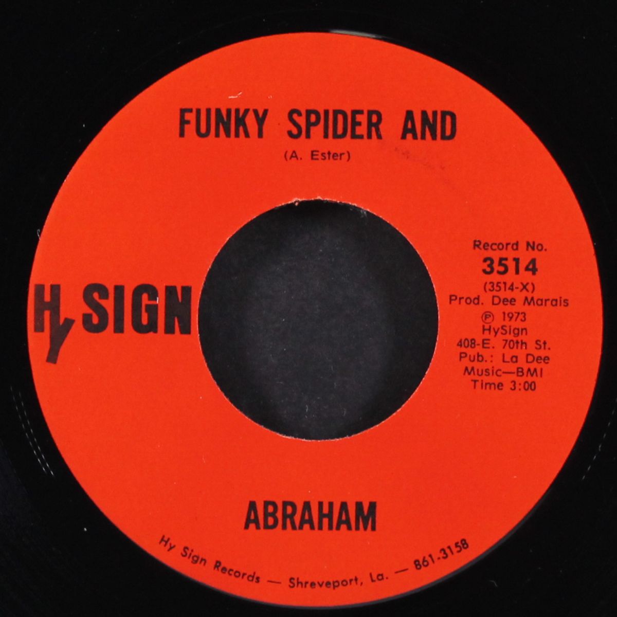 funky spider and / sacred fly by ABRAHAM