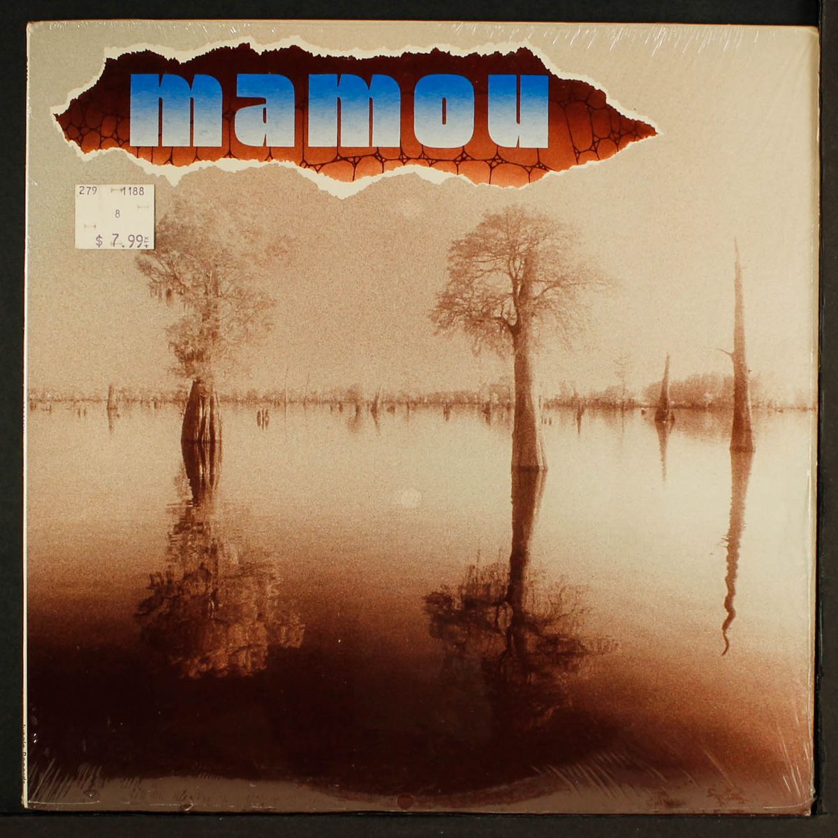 mamou by MAMOU