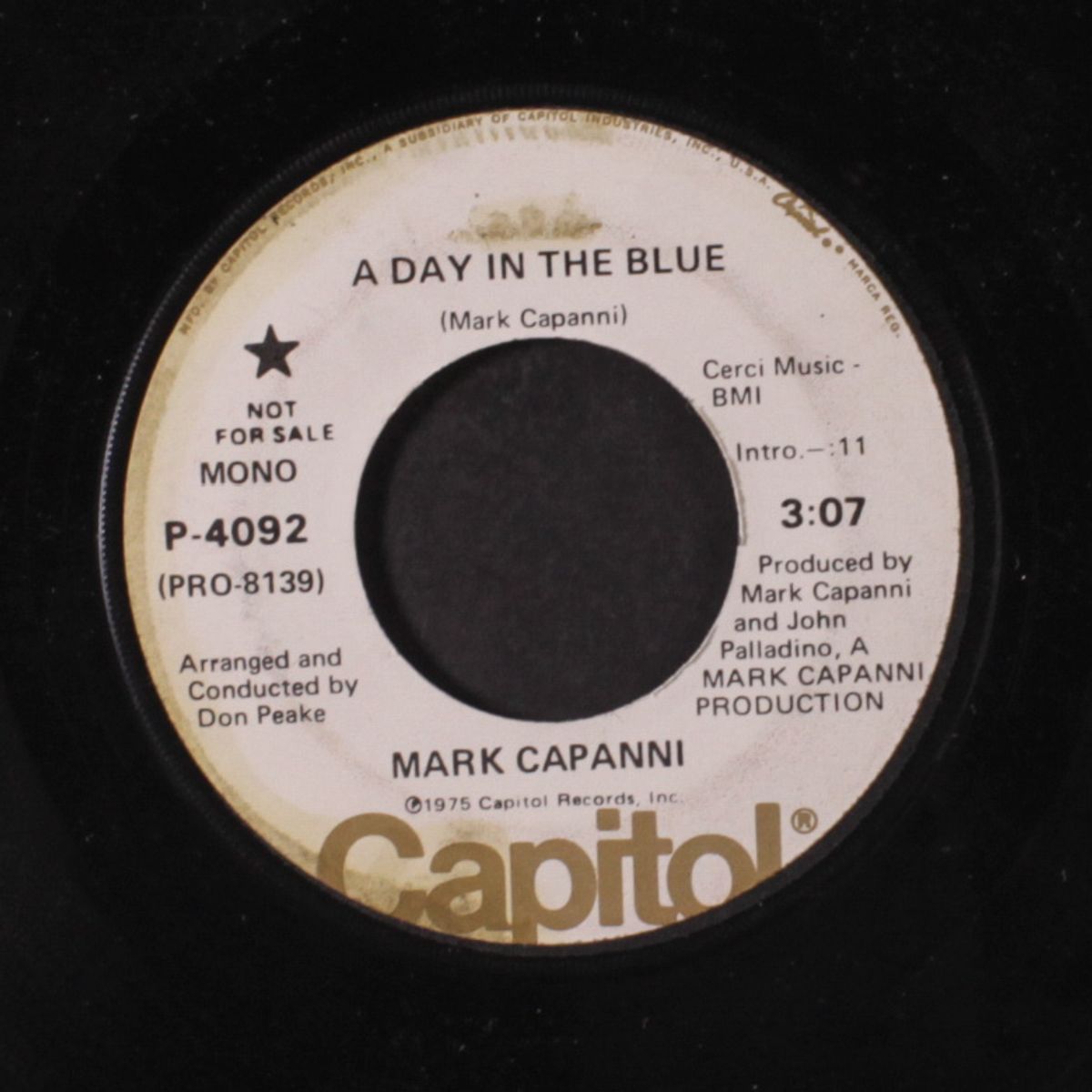 a day in the blue / mono by MARK CAPANNI