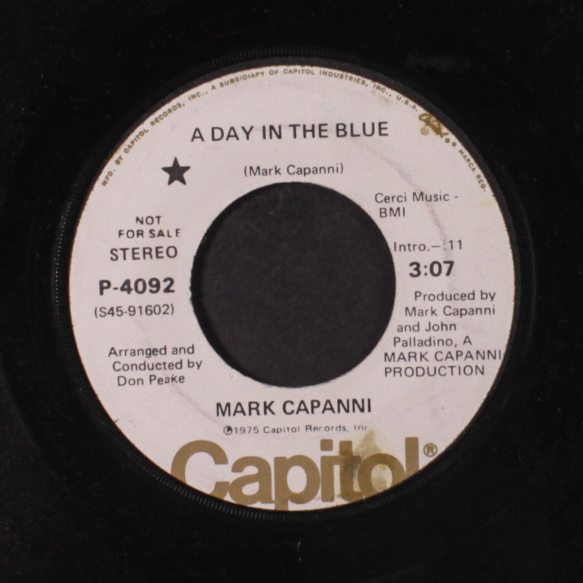 a day in the blue / mono by MARK CAPANNI