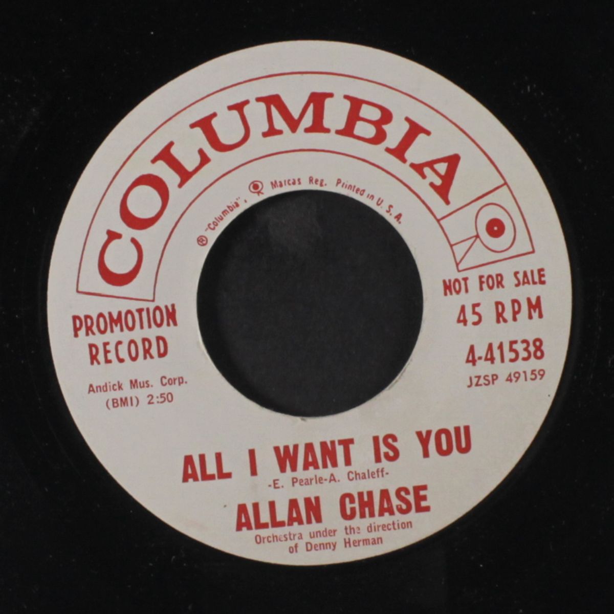 all i want is you / fame and fortune by ALLAN CHASE