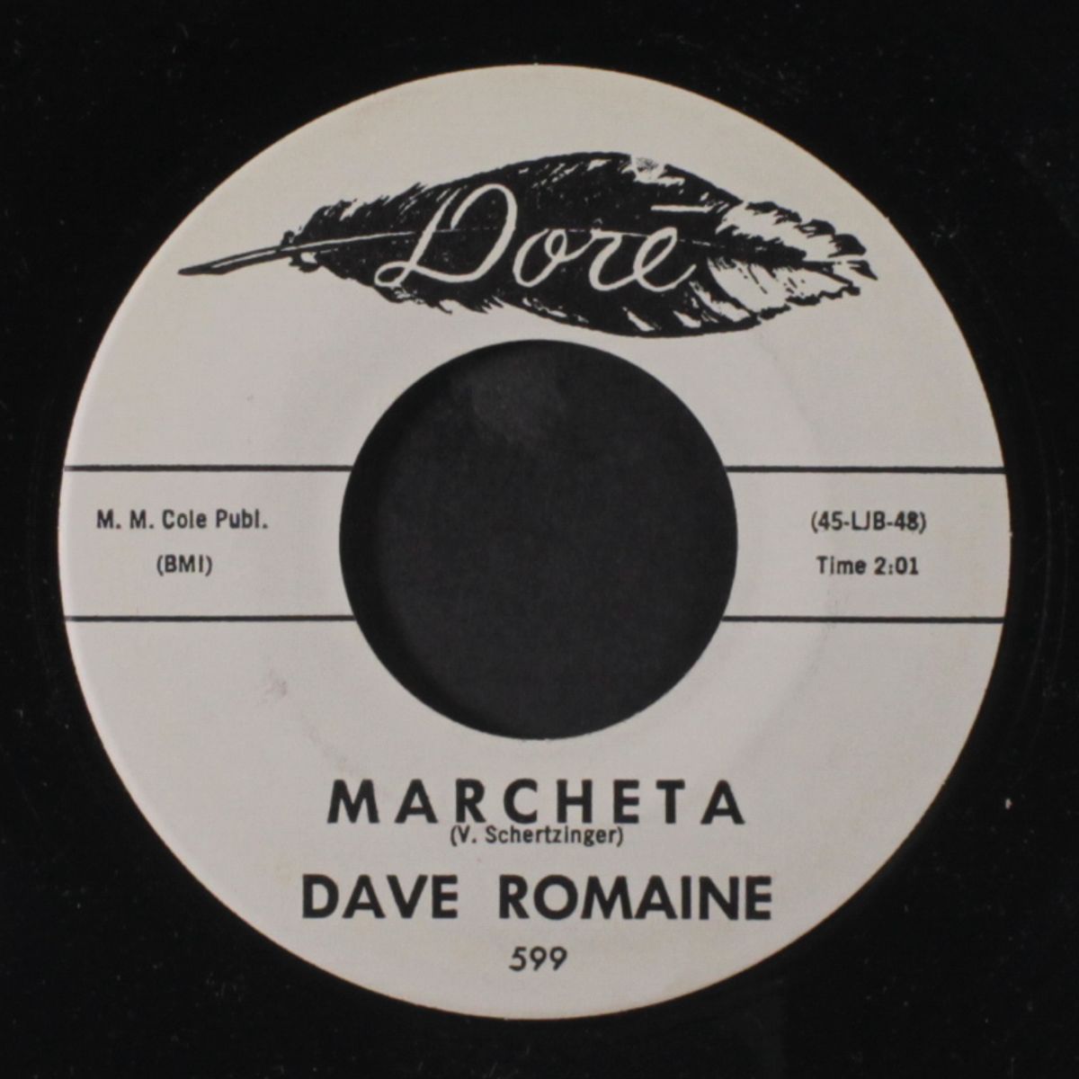 cascade / marcheta by DAVE ROMAINE