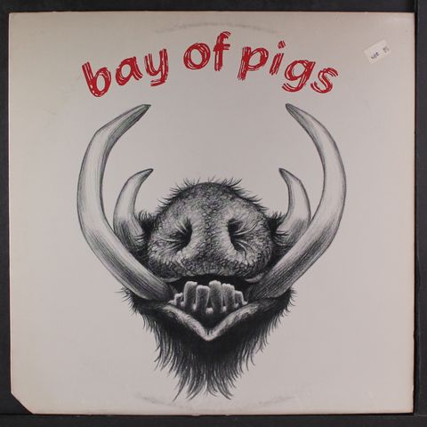 BAY OF PIGS