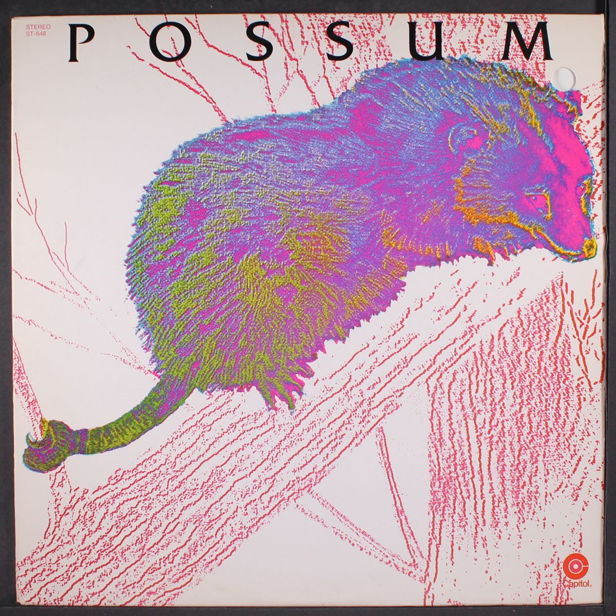 possum by POSSUM