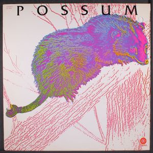POSSUM