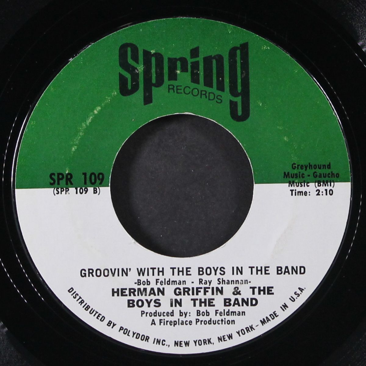 music gonna save the word by HERMAN GRIFFIN & BOYS IN THE BAND