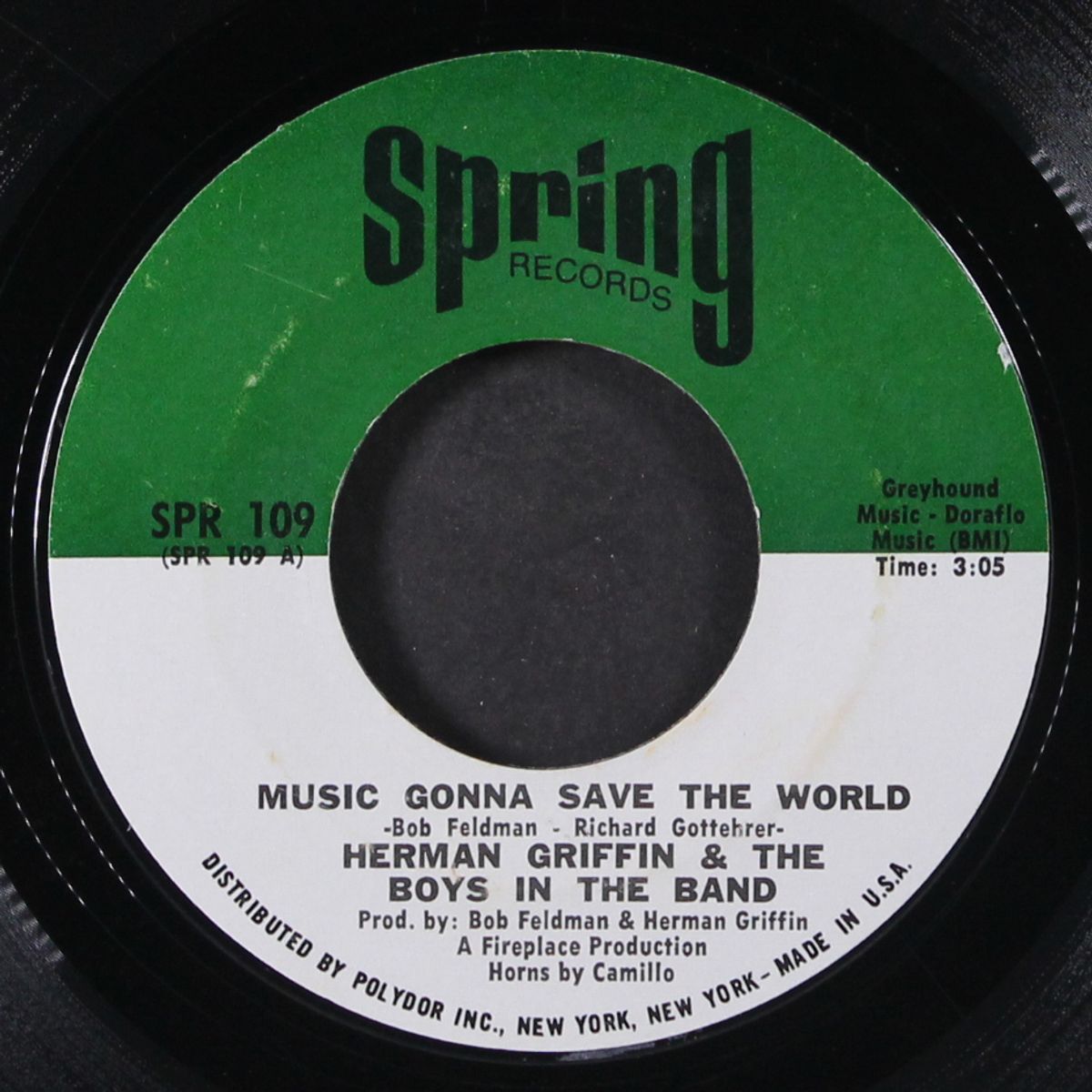 music gonna save the word by HERMAN GRIFFIN & BOYS IN THE BAND