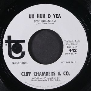 CLIFF CHAMBERS