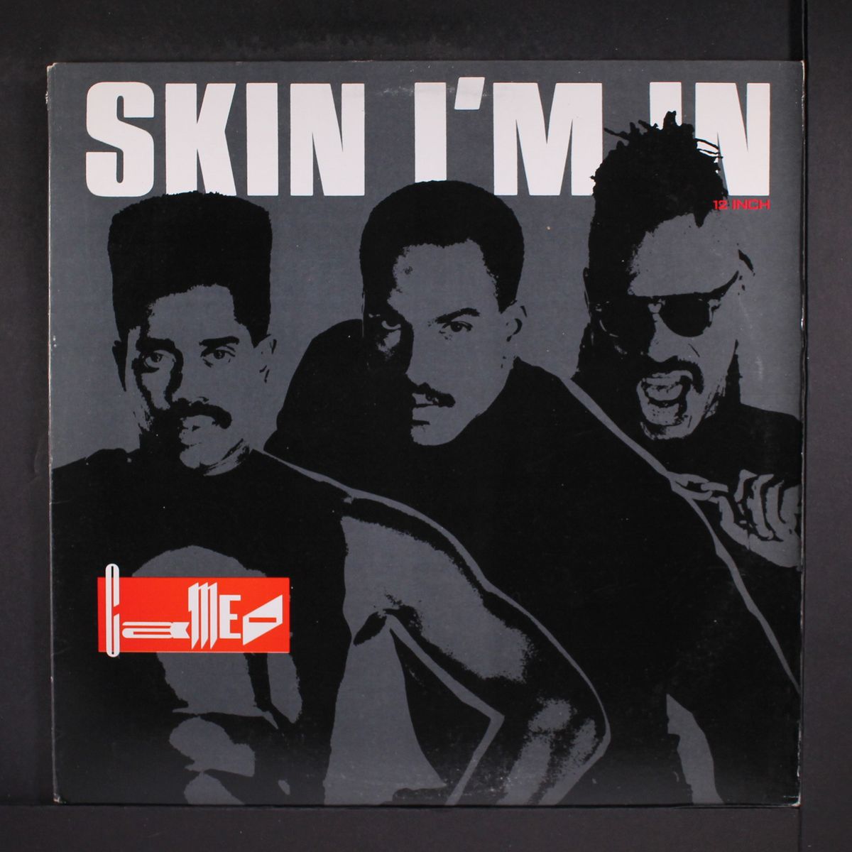 skin i'm in by CAMEO