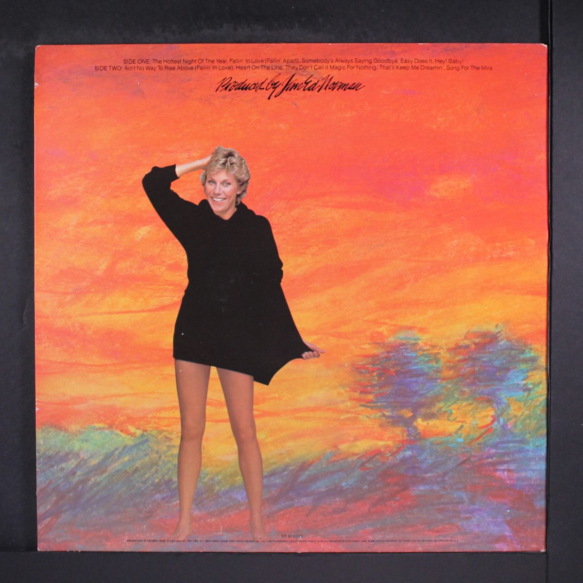 the hottest night of the year by ANNE MURRAY