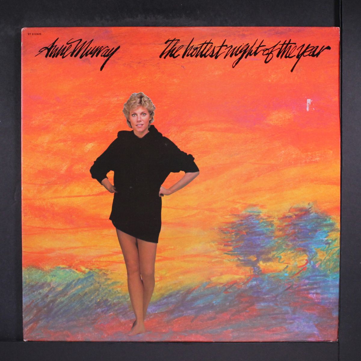 the hottest night of the year by ANNE MURRAY