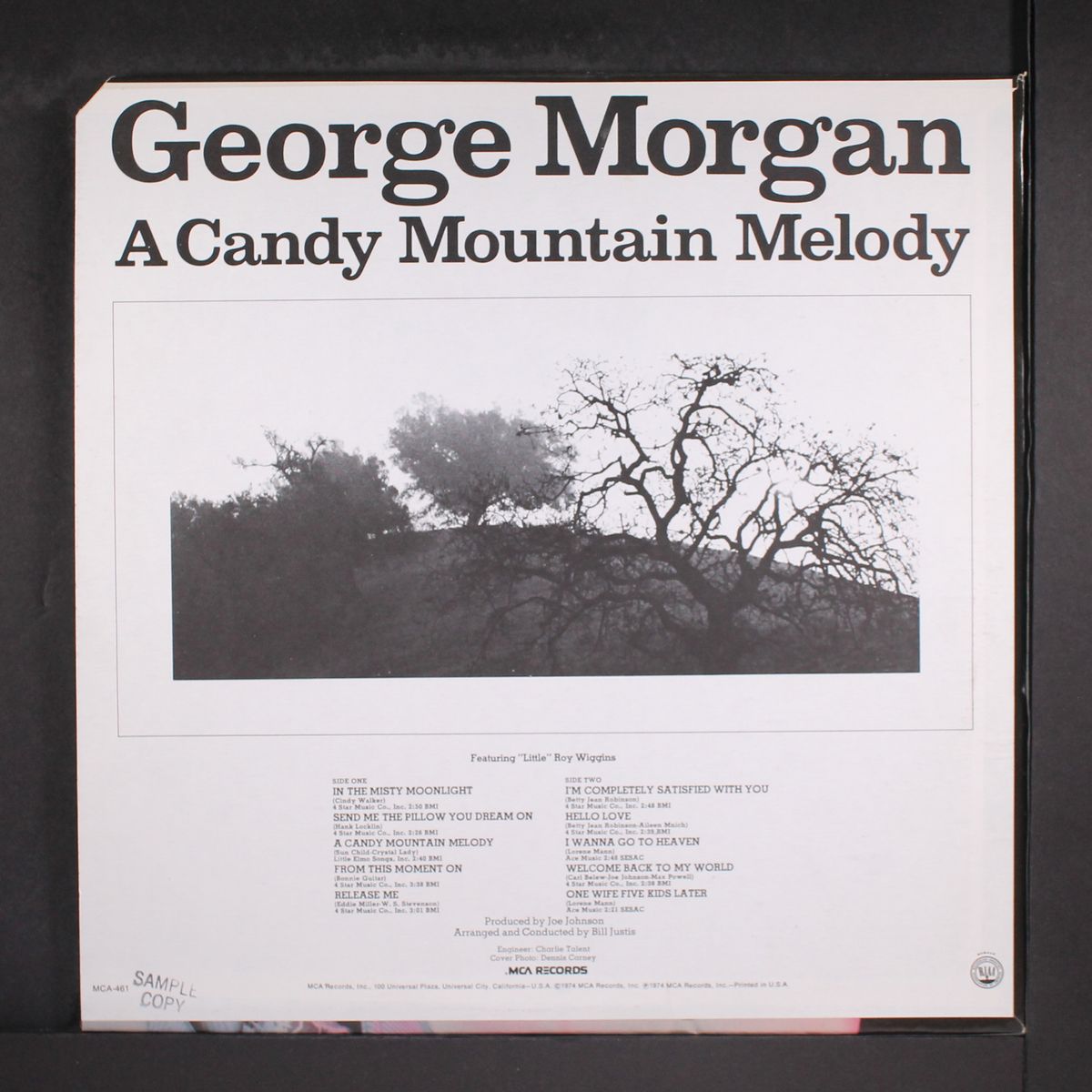 a candy mountain melody by GEORGE MORGAN