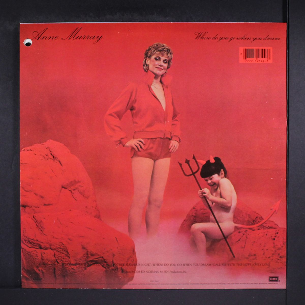 where do you go when you dream by ANNE MURRAY