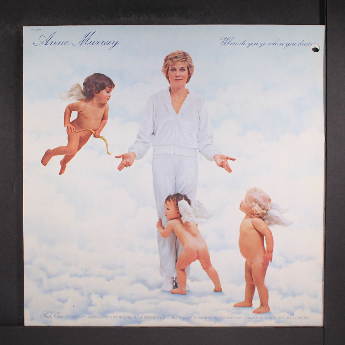 where do you go when you dream by ANNE MURRAY