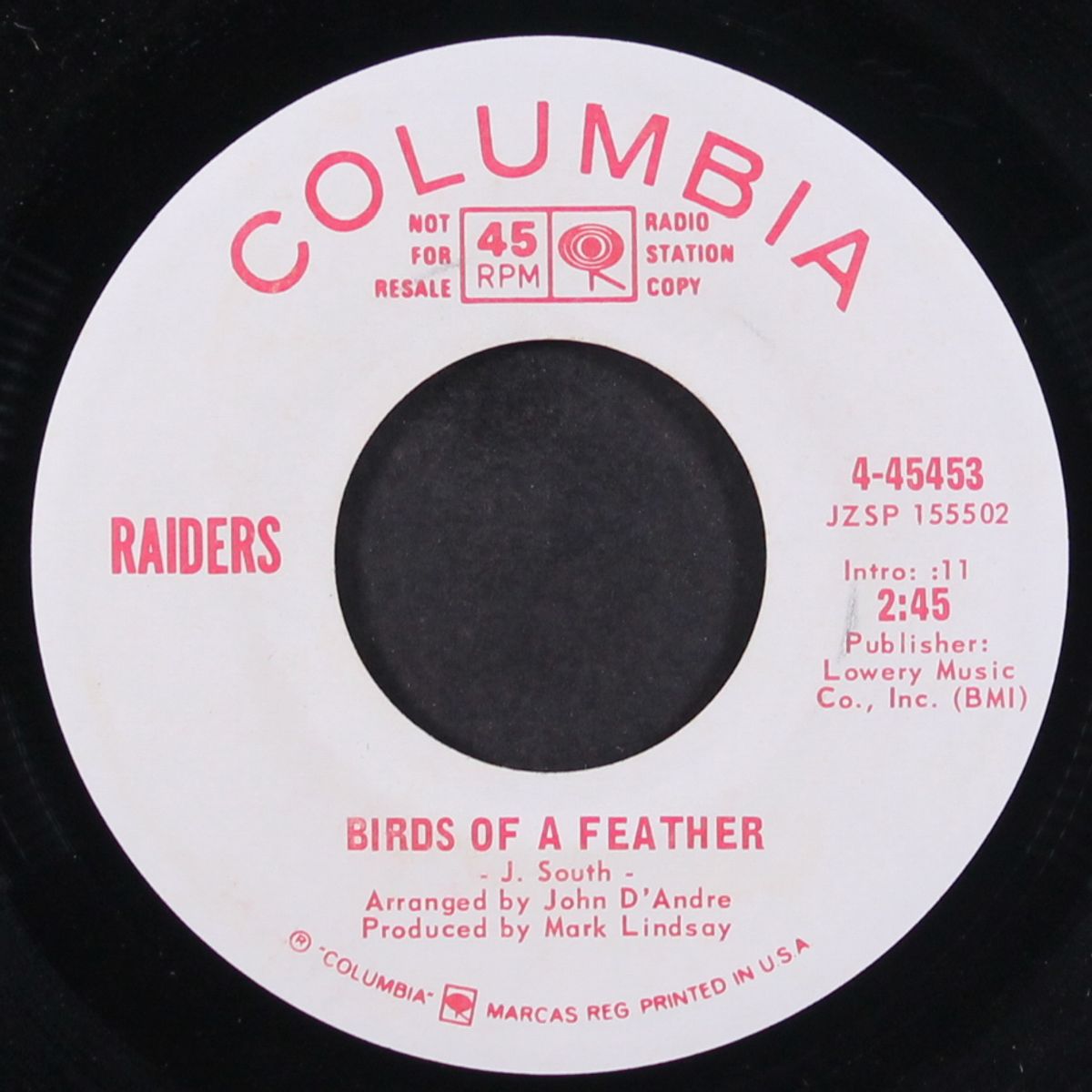 birds of a feather / mono by RAIDERS