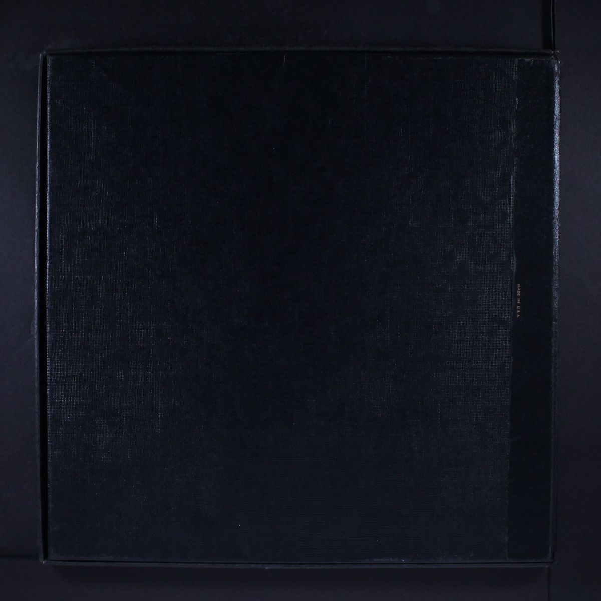 flamenco guitar by MANITAS DE PLATA