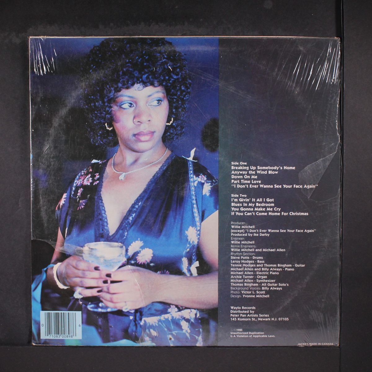 blues in my bedroom by LYNN WHITE