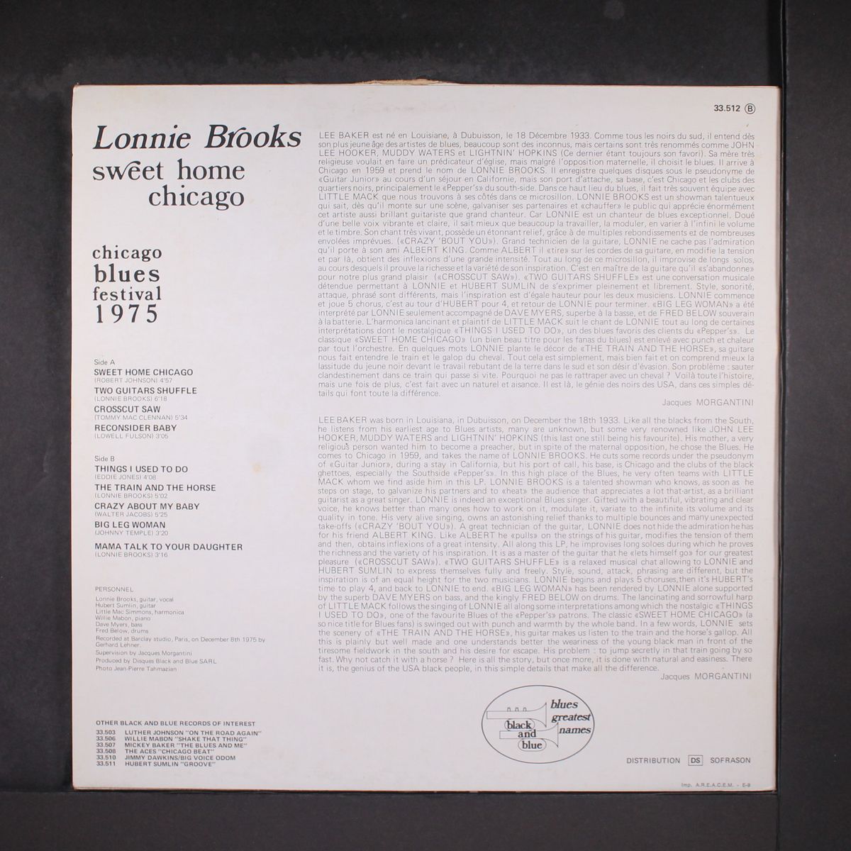 sweet home chicago by LONNIE BROOKS