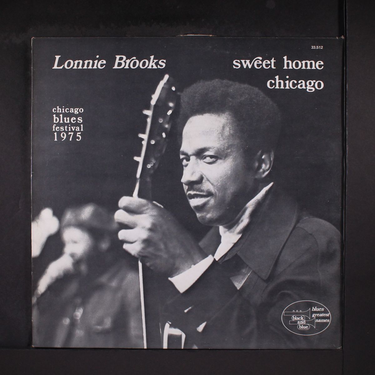 sweet home chicago by LONNIE BROOKS