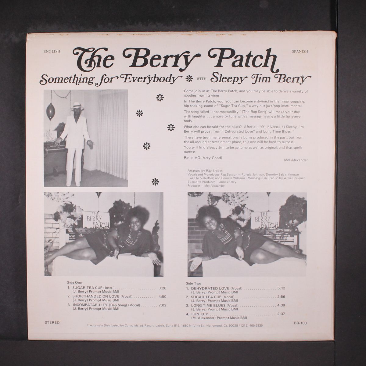 the berry patch by SLEEPY JIM BERRY