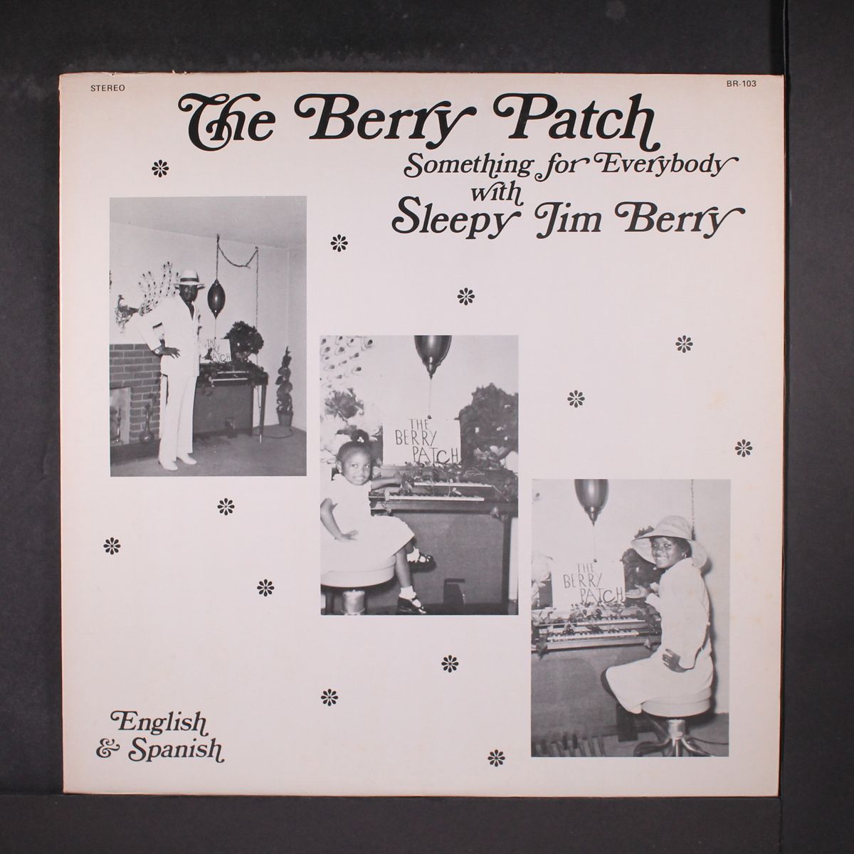 the berry patch by SLEEPY JIM BERRY