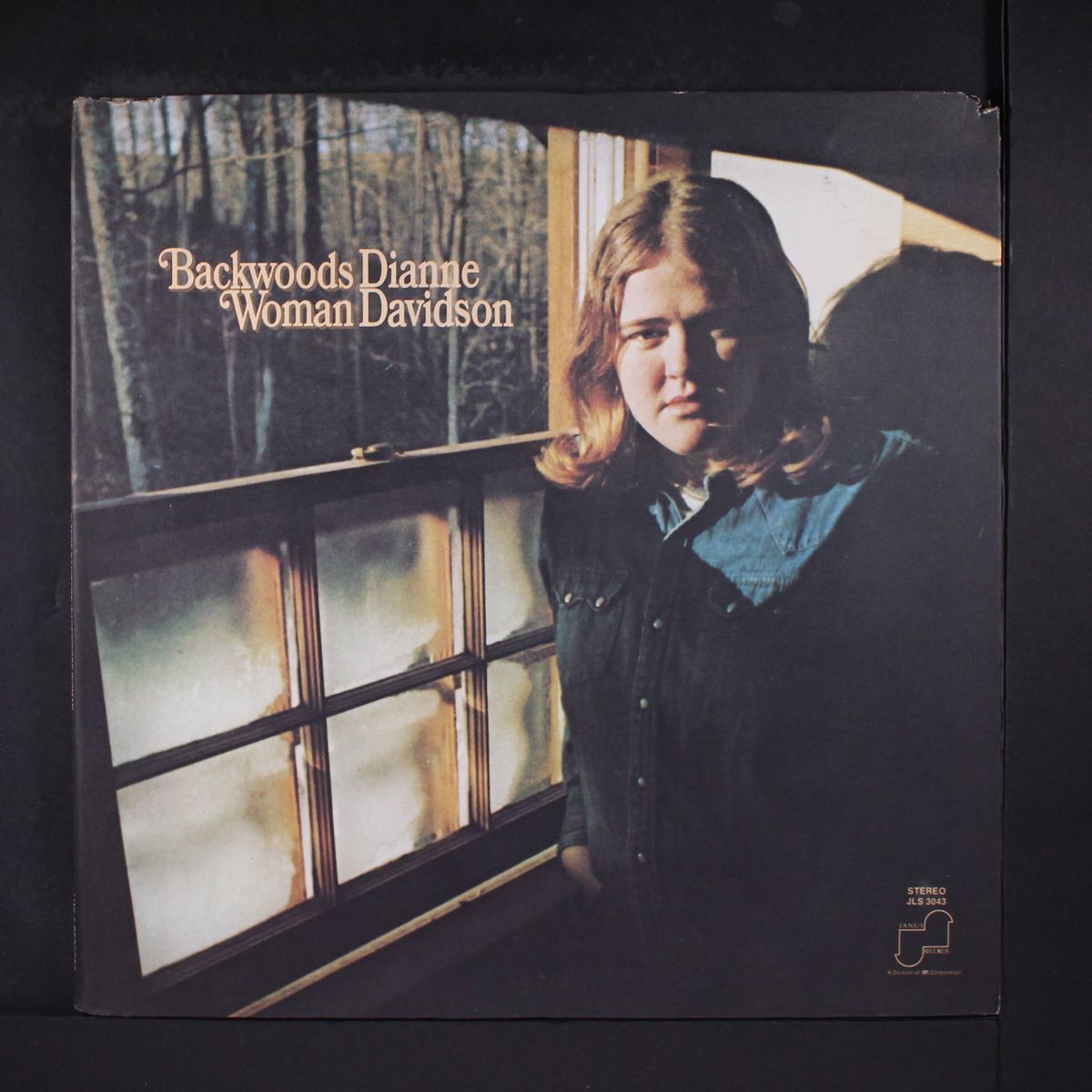 backwoods woman by DIANNE DAVIDSON