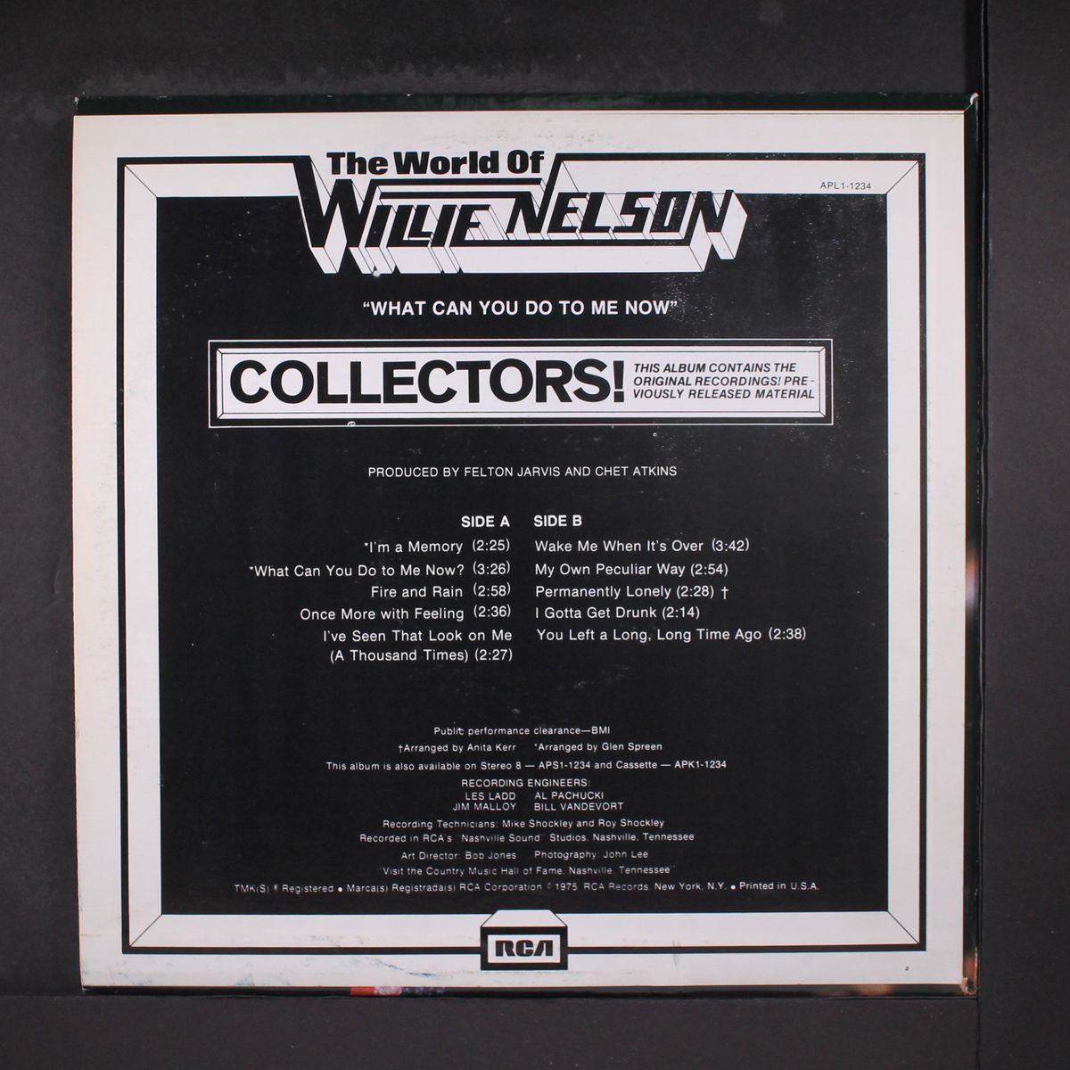 what can you do to me now by WILLIE NELSON